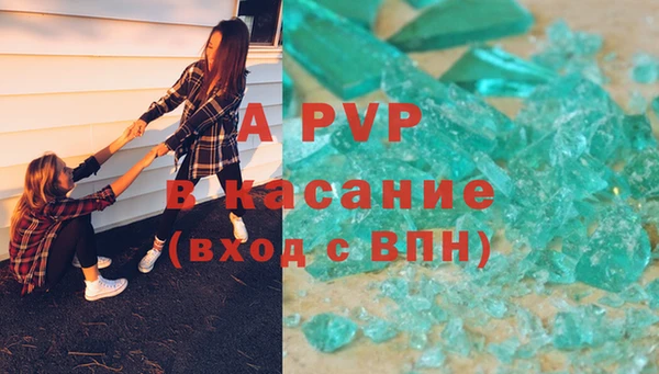 гашик Липки