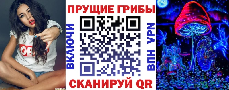 купить закладку  Покровск  Галлюциногенные грибы GOLDEN TEACHER 